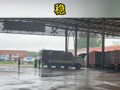 7月20日下午安丘黑埠子市场（下雨货少） ()