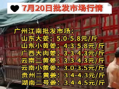 7月20日广州江南批发市场生姜价格行情 ()