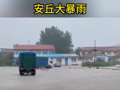 7月22日下午安丘黑埠子市场（暴雨货少） ()