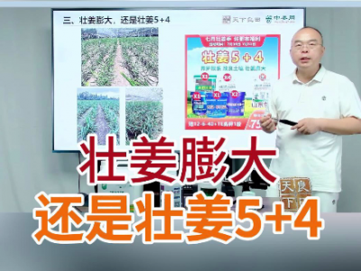 壮姜膨大还是壮姜5+4 ()