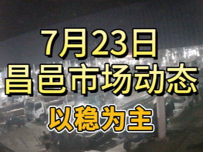 7月23日 琨福市场大姜价格（以稳为主） ()