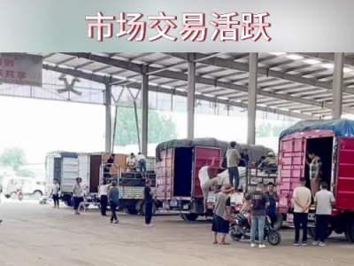 7月23日下午安丘黑埠子市场（交易活跃） ()