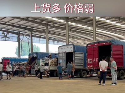 7月24日下午安丘黑埠子市场（货多价弱） ()