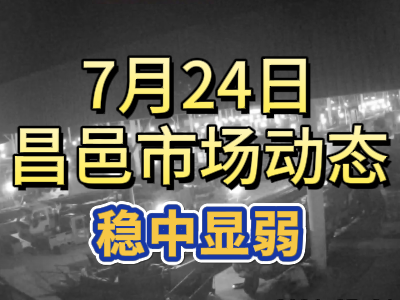 7月24日 琨福市场大姜价格（稳中显弱） ()