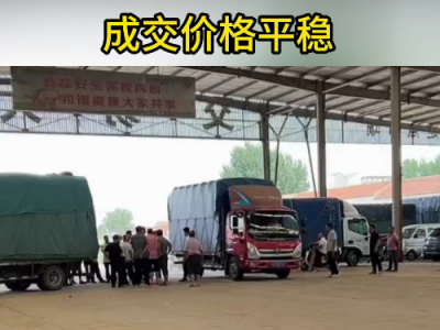 7月26日下午安丘黑埠子市场（价格平稳） ()