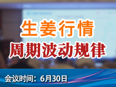 生姜行情周期波动规律 ()