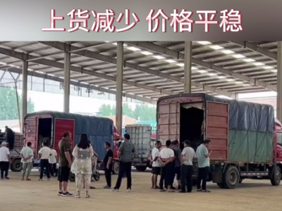 7月25日下午安丘黑埠子市场（货少价稳） ()