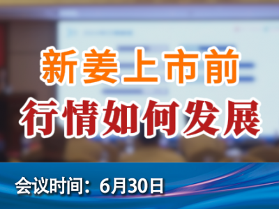 新姜上市前 行情如何发展 ()