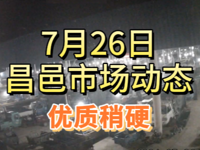 7月26日 琨福市场大姜价格（优质稍硬） ()