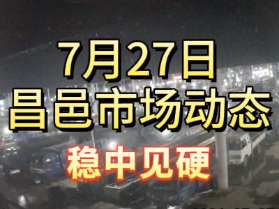 7月27日 琨福市场大姜价格（稳中见硬） ()