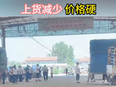 7月30日下午安丘黑埠子市场（货少价硬） ()