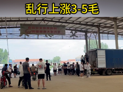 7月31日下午安丘黑埠子市场（暴涨3-5毛） ()