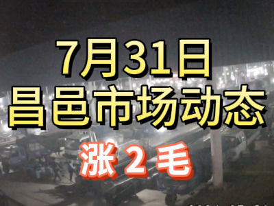 7月31日 琨福市场大姜价格（涨2毛） ()