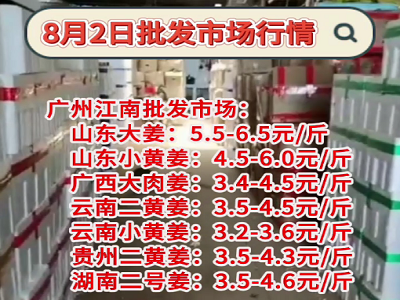 8月2日广州江南批发市场生姜价格行情 ()