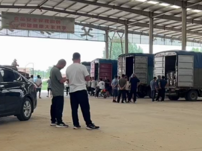 8月3日下午安丘黑埠子市场（继续涨） ()