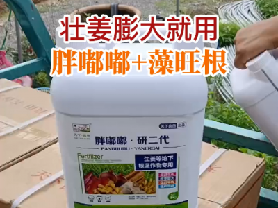 壮姜膨大就用 胖嘟嘟+藻旺根 ()