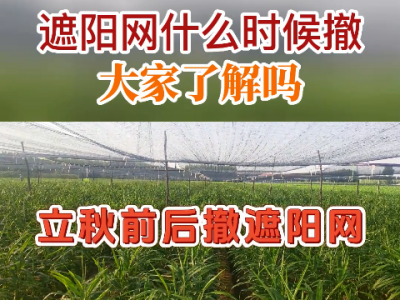 遮阳网什么时候撤大家了解吗？ ()