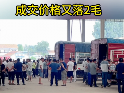 8月7日下午安丘黑埠子市场（又落2毛） ()