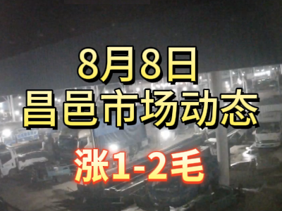 8月8日 琨福市场大姜价格（涨1-2毛） ()