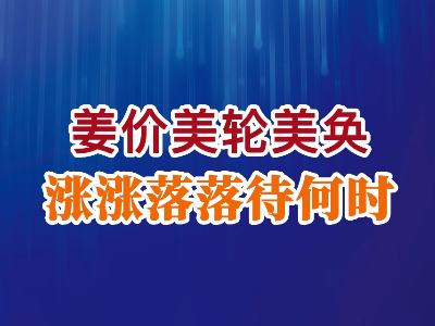 老石说姜：姜价美轮美换涨涨落落待何时？ ()