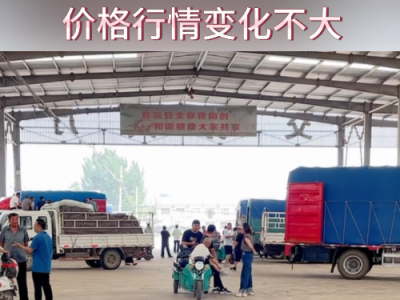 8月9日下午安丘黑埠子市场（平稳） ()