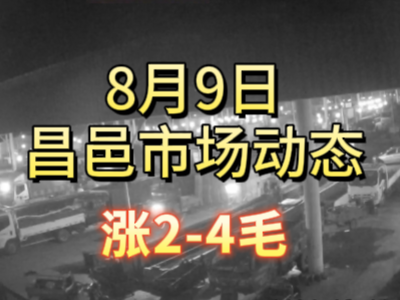 8月9日 琨福市场大姜价格（涨2-4毛） ()