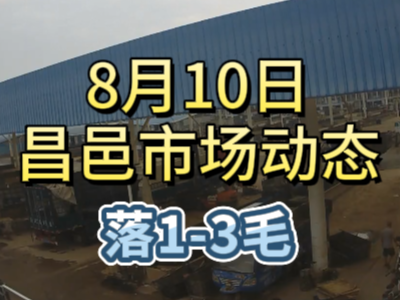 8月10日 琨福市场大姜价格（落1-3毛） ()