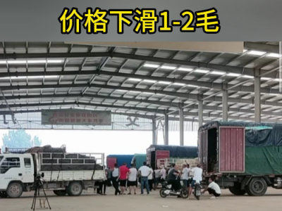 8月10日下午安丘黑埠子市场（落1-2毛） ()