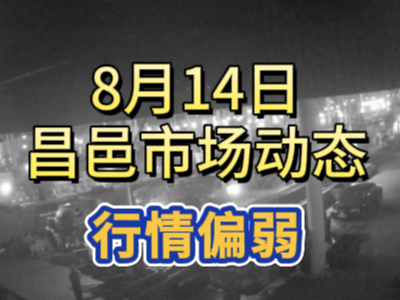 8月14日 琨福市场大姜价格（行情偏弱） ()