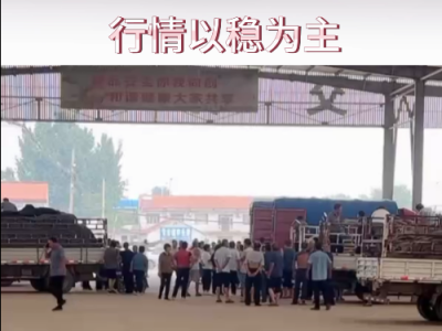 8月14日下午安丘黑埠子市场（以稳为主） ()