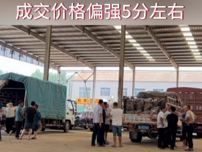 8月15日下午安丘黑埠子市场（稳中见硬） ()