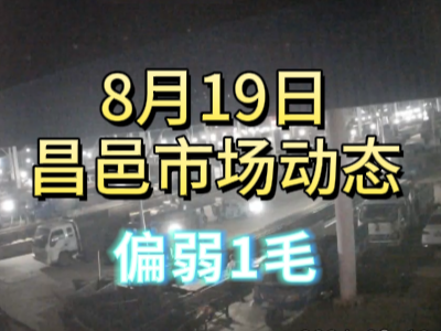 8月19日 琨福市场大姜价格（偏弱1毛） ()