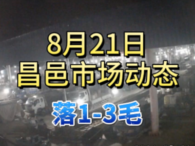 8月21日 琨福市场大姜价格（落1-3毛） ()