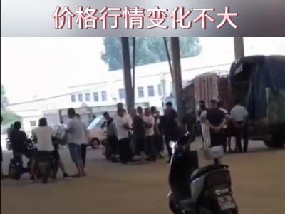 8月21日下午安丘黑埠子市场（变化不大） ()