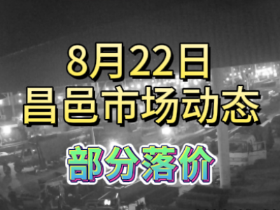 8月22日 琨福市场大姜价格（部分落价） ()