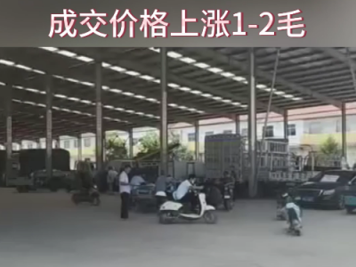 8月23日下午安丘黑埠子市场（张1-2毛） ()