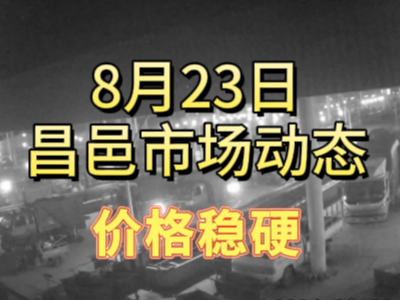 8月23日 琨福市场大姜价格（价格稳硬） ()