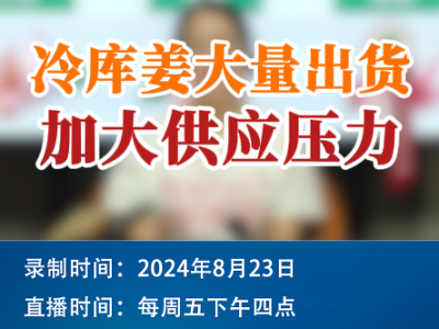 农情漫谈：冷库姜大量出货 加大供应压力 ()