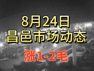 8月24日 琨福市场大姜价格（涨1-2毛） ()