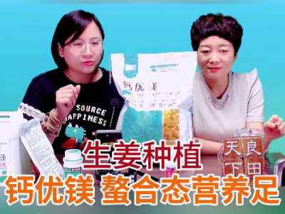 生姜种植钙优镁螯合态营养足 ()