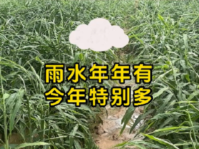 它又双叒叕来了！！！ ()