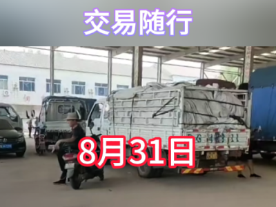 8月31日下午安丘黑埠子市场（交易随行） ()