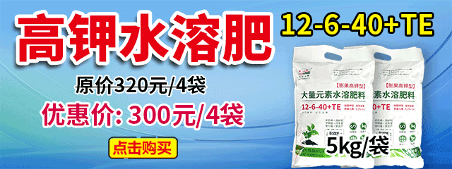 高钾水溶肥12-6-40+TE