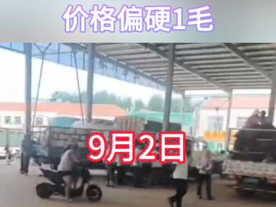 9月2日下午安丘黑埠子市场（偏硬1毛） ()