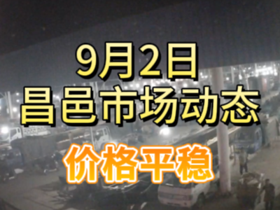 9月2日 琨福市场大姜价格（价格平稳） ()