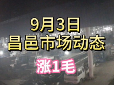 9月3日 琨福市场大姜价格（涨1毛） ()