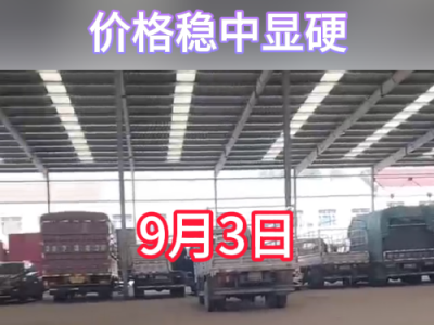 9月3日下午安丘黑埠子市场（稳中显硬） ()