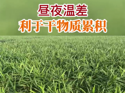 昼夜温差利于干物质累积 ()