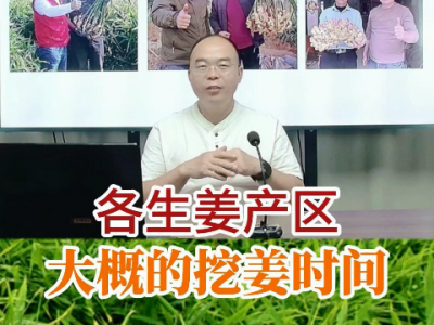 各生姜产区大概的挖姜时间 ()