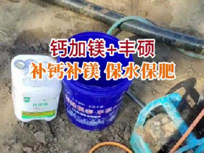 潍坊姜友生姜大培土后用肥 ()